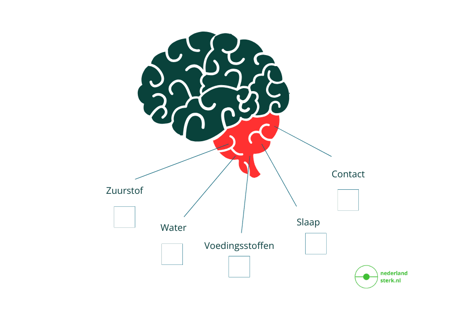 Wat zijn de lichamelijke basisbehoeftes van mensen en hoe zorg je daar goed voor? 